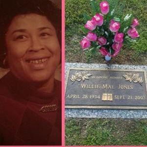 Meet your Posher, Aja